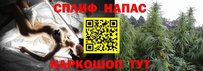 гидропоника Пенза