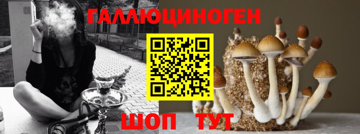 Галлюциногенные грибы GOLDEN TEACHER  Вход с VPN  Семёнов 